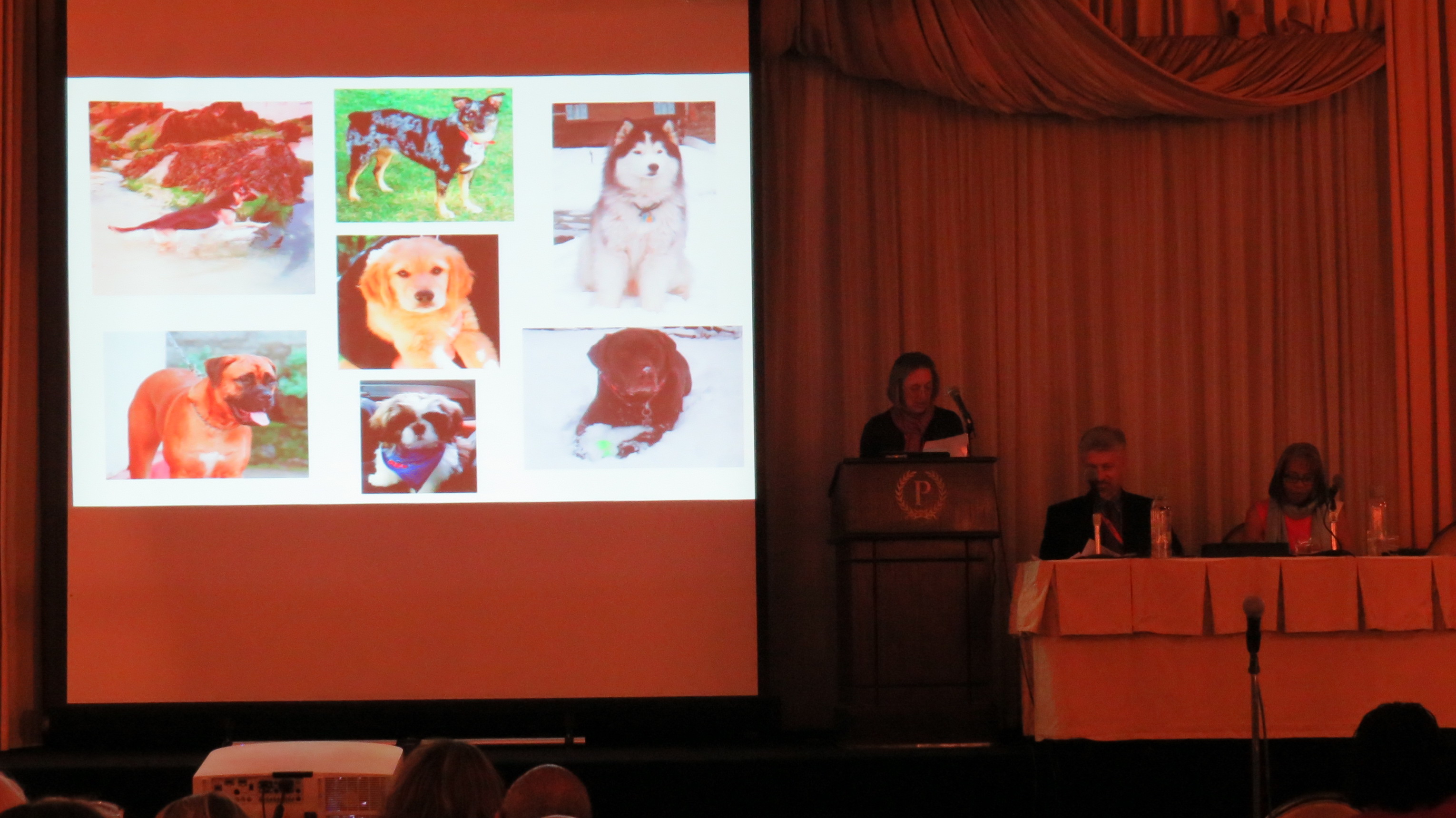 Moments from the First International CREA Conference